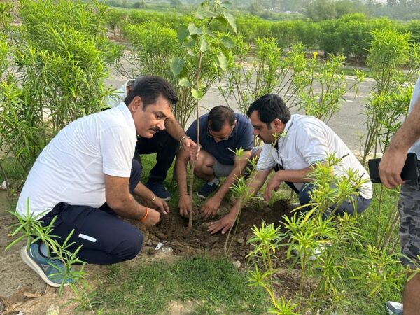 WhatsApp Image 2024-11-09 at 9.35.36 AM